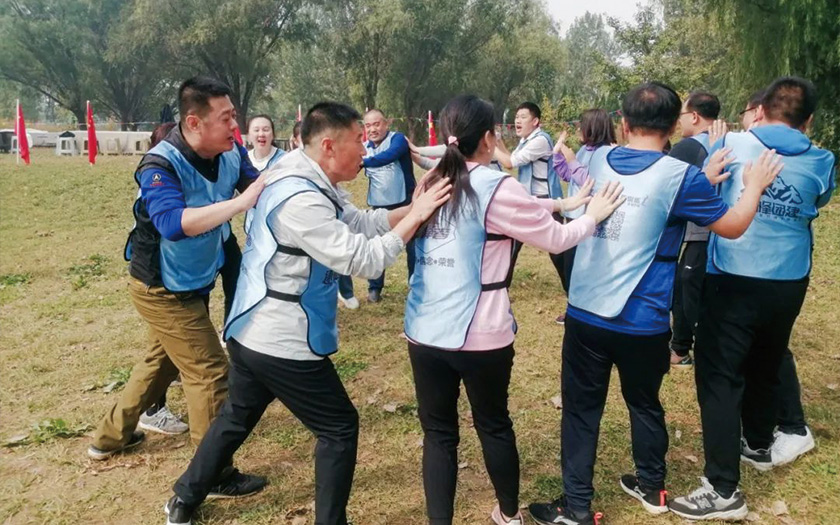 凝心聚力 熔煉團隊｜金橋集團金秋團建活動精彩集錦！